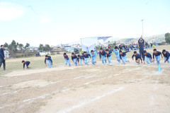 PDS_2810