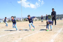 PDS_2931